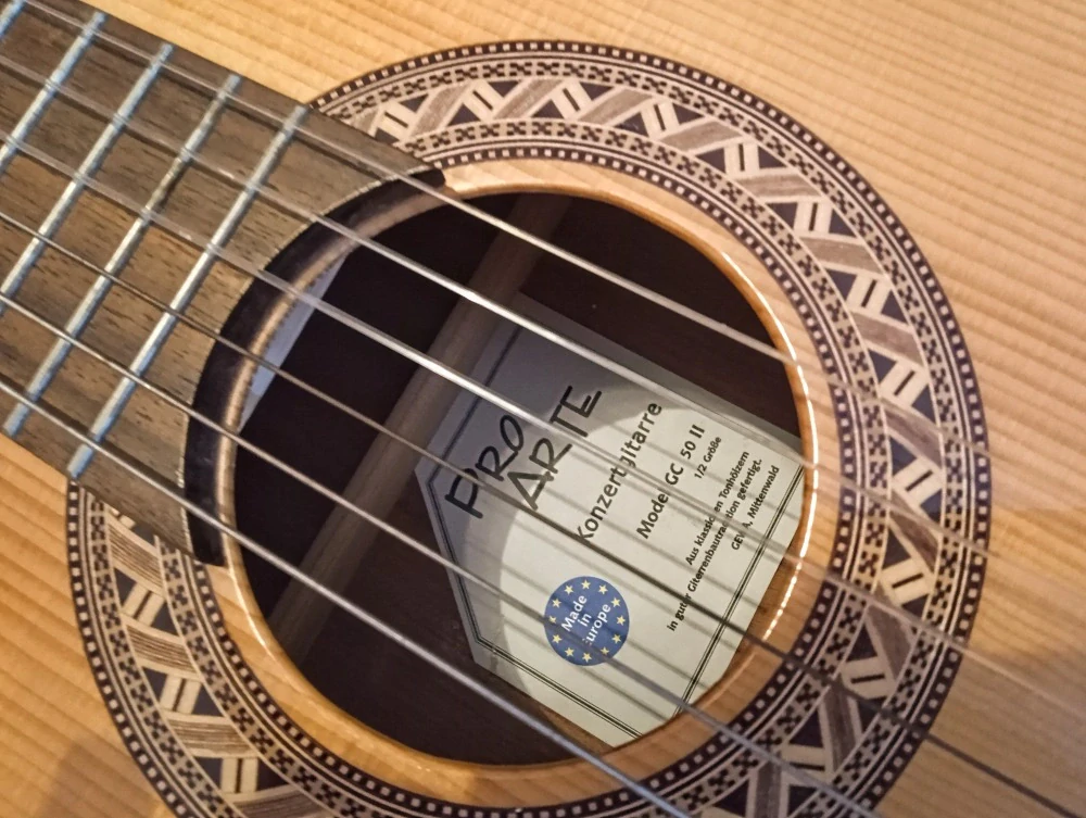 Gewa Pro Arte GC50 II (Prodáno)
