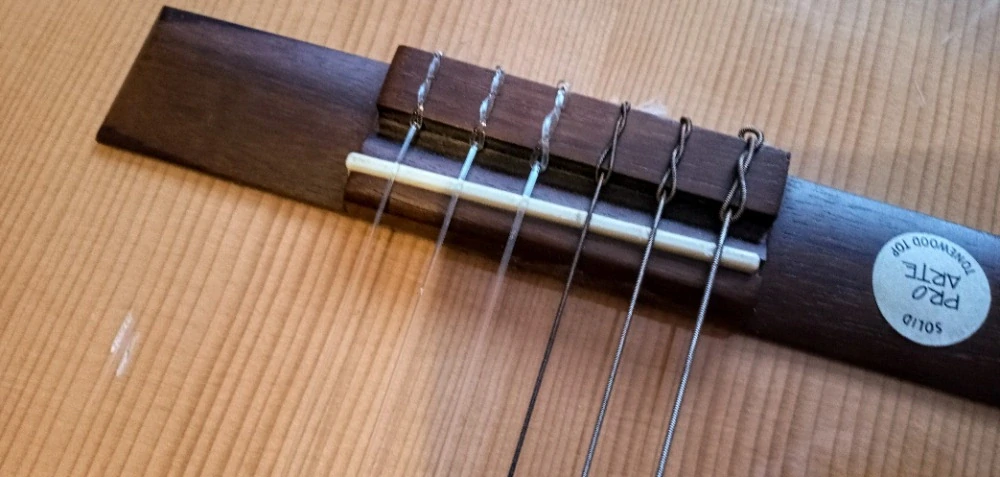 Gewa Pro Arte GC50 II (Prodáno)