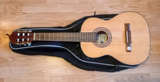 Gewa Pro Arte GC50 II (Prodáno)